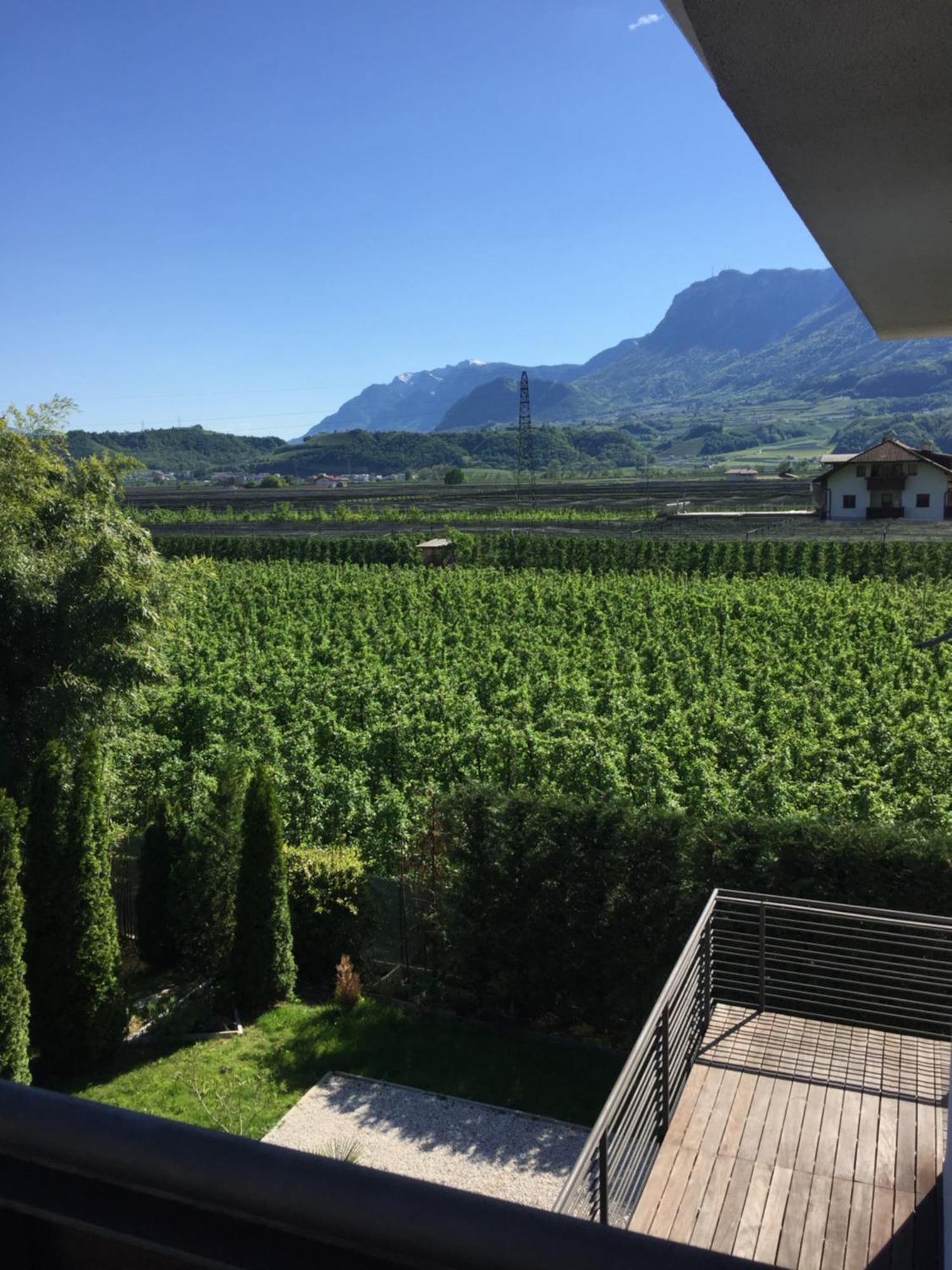 B&B Mele D'Oro Bozen Exterior foto
